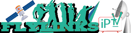 FlyLinks Logo