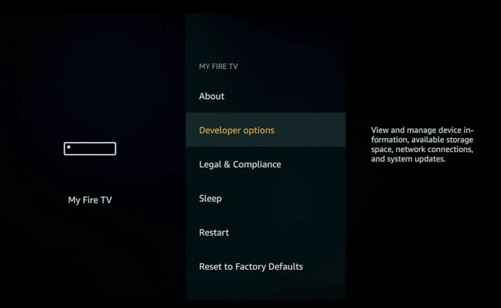 Developer Options Visible