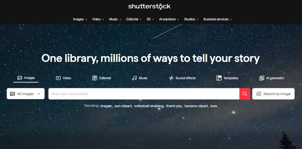 Woman reviewing analytics dashboard on laptop in modern office workspace