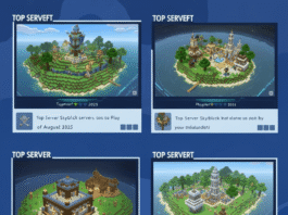 Best Skyblock Servers 2025